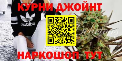 МДПВ Камень-на-Оби