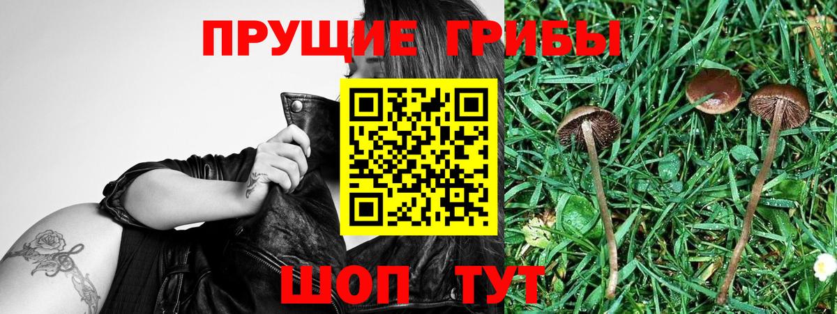 Амфетамин   МЕФ  Метамфетамин  Каннабис  Вход с VPN  Лсд 25  Мефедрон   Гашиш  Киселёвск  МДМА 