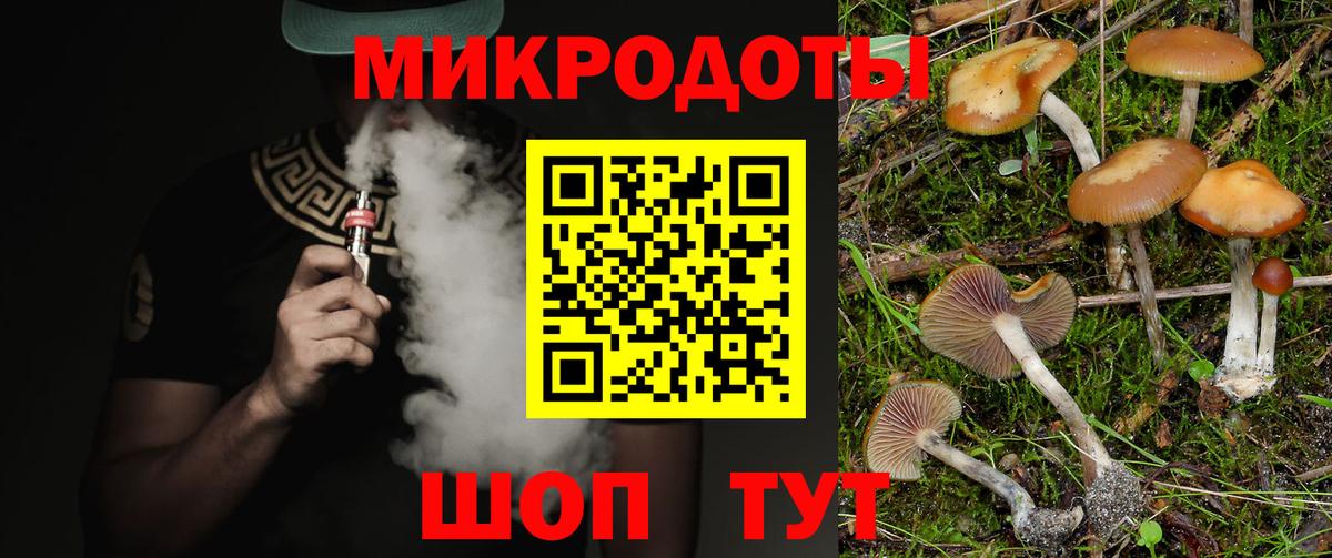 Киселёвск  Галлюциногенные грибы GOLDEN TEACHER  Псилоцибиновые грибы мицелий  Вход с VPN 