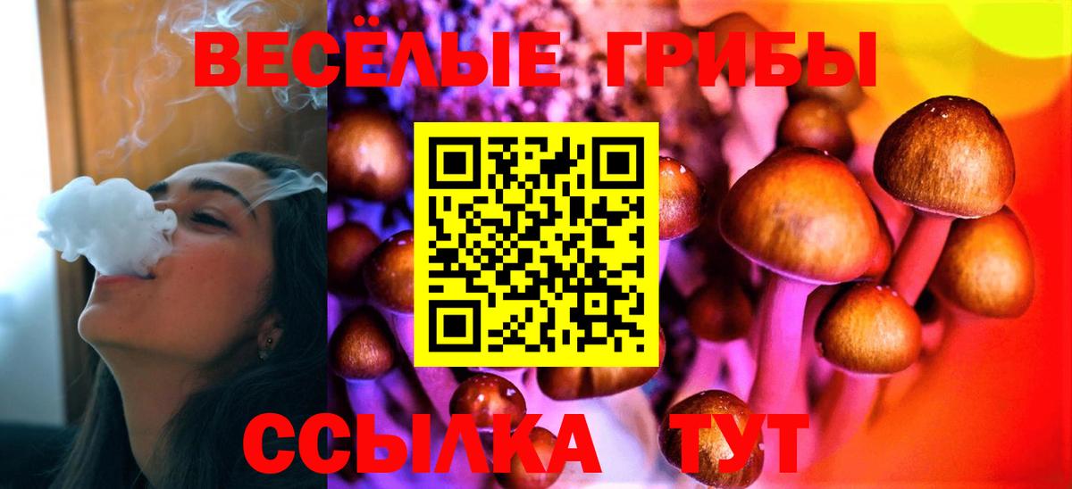 Псилоцибиновые грибы мицелий Киселёвск